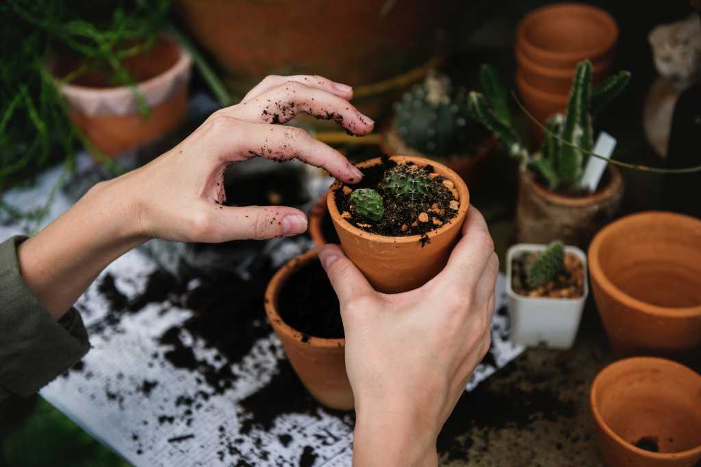 plant-pot-gardening