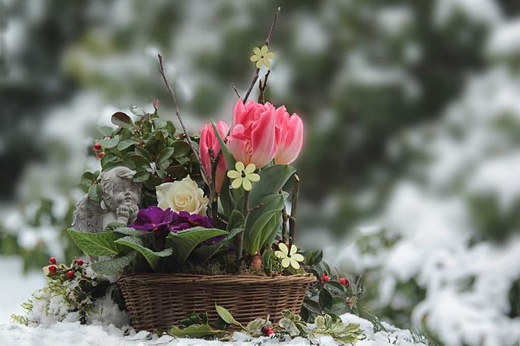 Flowers in a basket in the snow